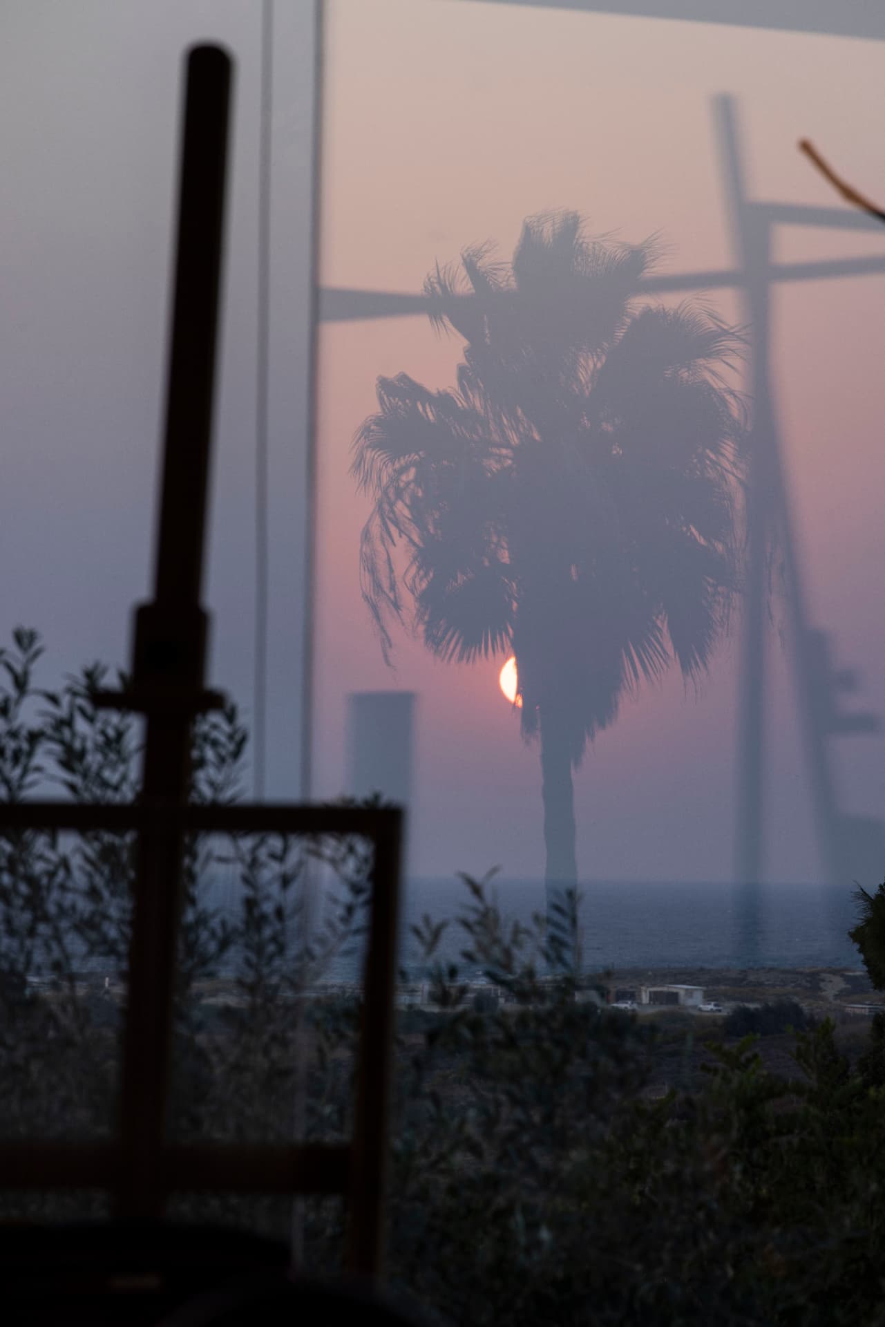 Palm reflected over the sunset sea