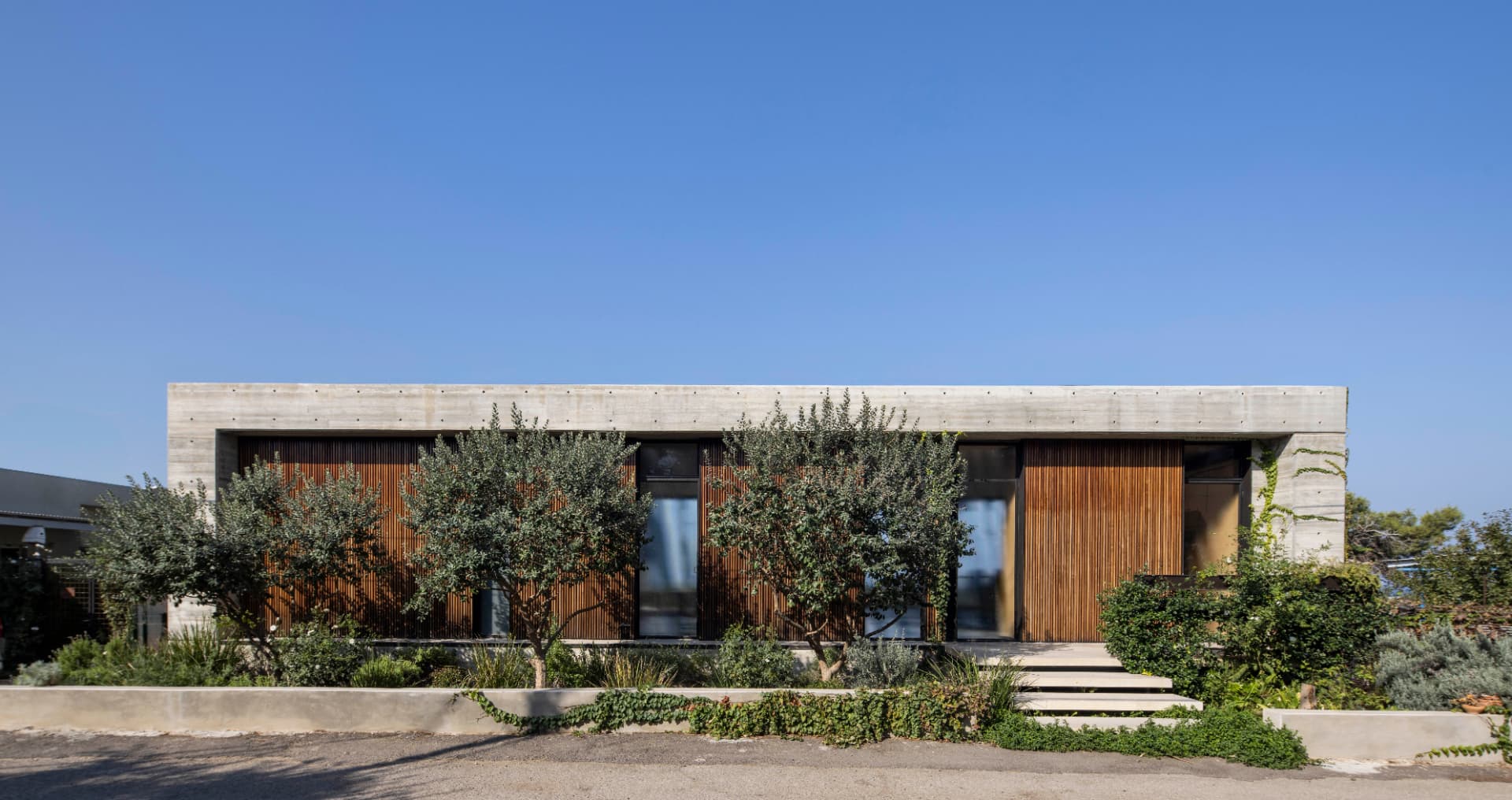 Street facade: board-formed concrete frame with wood slats and feijoa trees